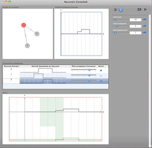 Simulation de réseaux de neurones